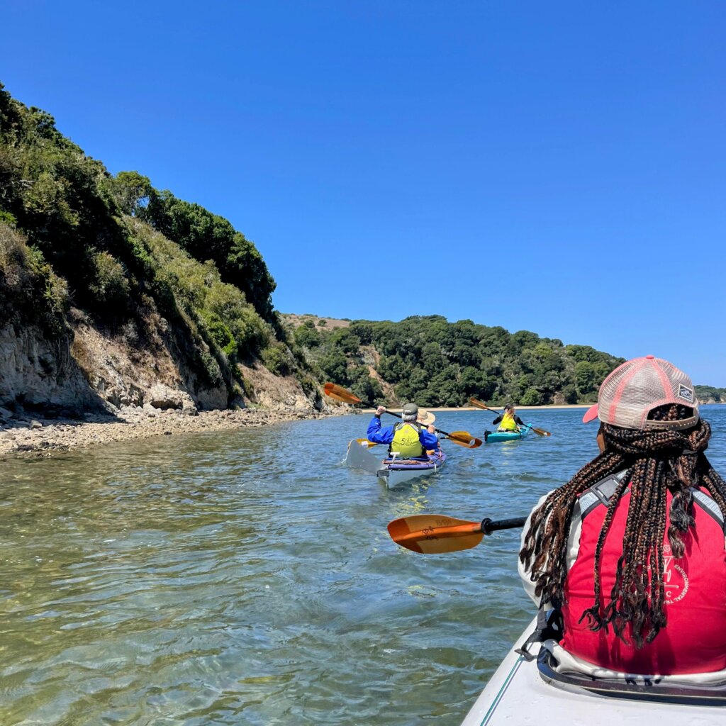 A wooded rocky beach shoreline against a blue sky. Shows the back of a paddler in a kayak, and two more kayaks paddling in front